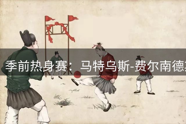 季前热身赛：马特乌斯-费尔南德斯闪电进球助热刺告捷